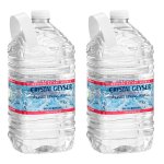 Crystal Geyser Natural Alpine Spring Water, 1 Gallon Jug, 2-Pack (BND03383)