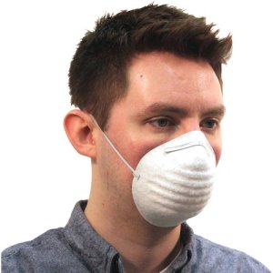 ProGuard Dust Mask, Disposable, Nontoxic, 50/BX, White (PGD7300B)