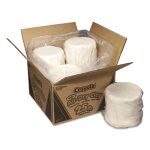 Crayola Nontoxic Air-Drying Clay, White, 25 lb Box (CYO575001)