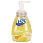 Dial Complete Foaming Antibacterial Hand Soap, 7.5 oz, Citrus, Each (DIA06001)