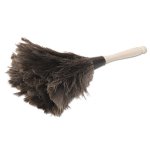 Boardwalk Professional Ostrich Feather Duster, 4" Handle (BWK12GY)