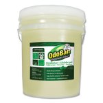 OdoBan Deodorizer Disinfectant, Eucalyptus Scent, 5 Gallon Pail (ODO9110625G)