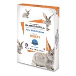Hammermill Multipurpose Paper, 20-lb, 11 x 17, White, 500 Sheets (HAM103192)