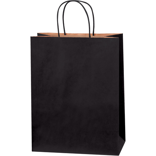 Large Kraft Paper Bags Case of 250