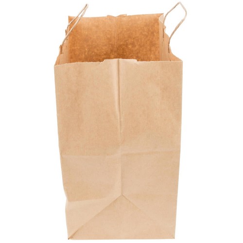 Dubl life paper bags with handles hot sale