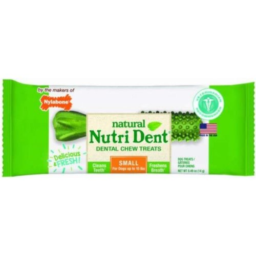 are nylabone nutri dent safe for dogs