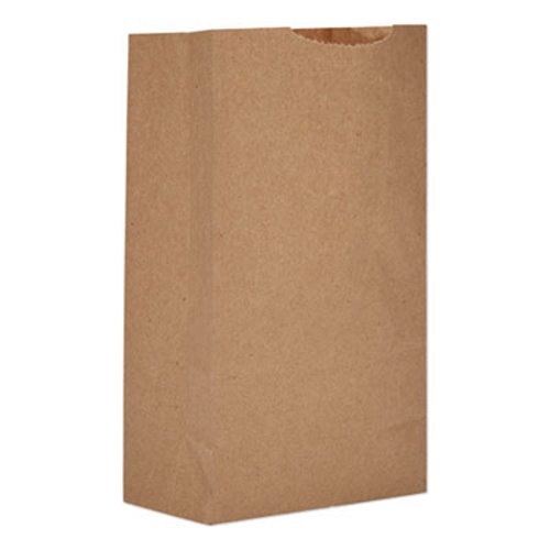 Standard Kraft Paper Bags