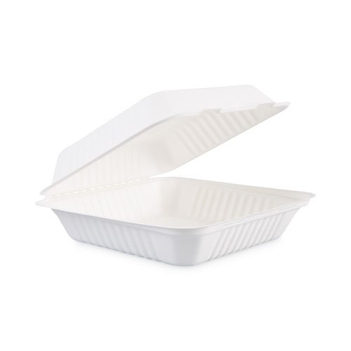 Large Bagasse Food Containers