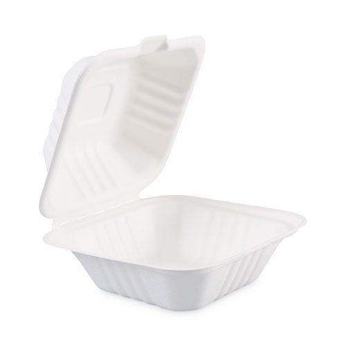 Large Bagasse Food Containers