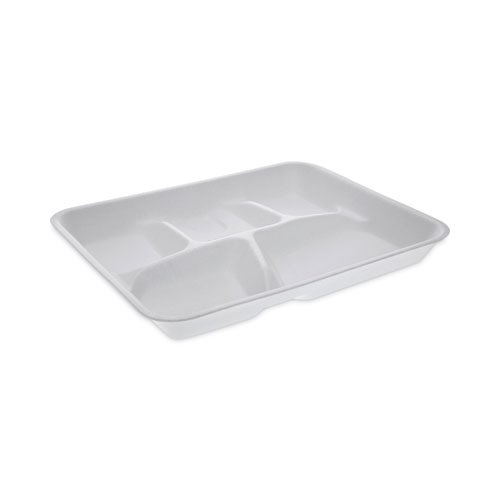 School Compartment Trays