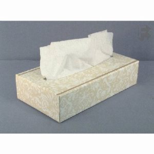 Marcal Paper Mills Fluff Out 2 Ply Facial Tissues, 30 Tissue Boxes (FOR-2723)