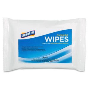 Genuine Joe Flushable Personal Cleansing Wipes, 48 Packs (GJO14143CT)