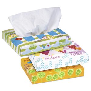 Kleenex White Facial Tissue, 2-Ply, 40 Tissues/Box, 80 Boxes/Carton (KCC21195)