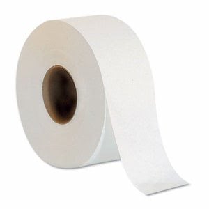Envision Jumbo Jr. 2-Ply Toilet Paper Rolls, 8 Rolls (GPC12798)