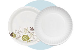[500 Pack] Disposable White Uncoated Paper Plates - 9 Inch Large Decorative  Craft Paper Plates