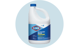 https://resources.cleanitsupply.com/home-banner/Shop_Clorox-Bleach.png?v=638169106584332164?v9.3.0.3895